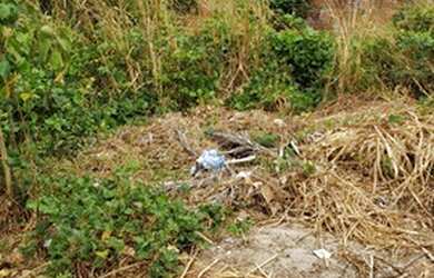 Imagem 2: Siqueira Jatoba. 175m² de Área