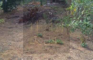 Imagem 5: Lote/Terreno para Venda tem 250,00m2 em Alto da Bela Vista - Iguaí - Bahia