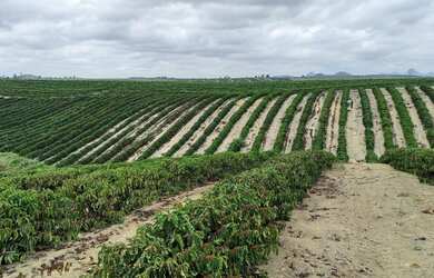 Imagem 8: Sítio com 37,5 hectares, Região de Fazenda Veloso - Ecoporanga ES
