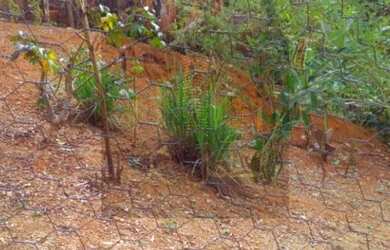 Imagem 4: Lote/Terreno para Venda tem 250,00m2 em Alto da Bela Vista - Iguaí - Bahia