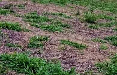 Imagem 11: 03a-7FBI20. 500m² de Área