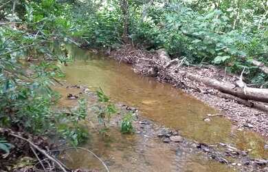 Imagem 11: .Uma fazenda 170 alqueires 52 km de Porto