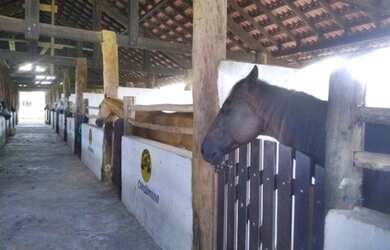 Imagem 16: Vendo Casa no Condomínio Fazenda Real Residence em Santa Isabel