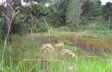 Imagem: A chácara possui 40.535m² de Área, Imóvel novo e está