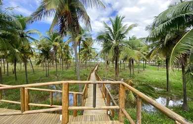 Imagem 10: Ville Al Mare. 638m² de Área