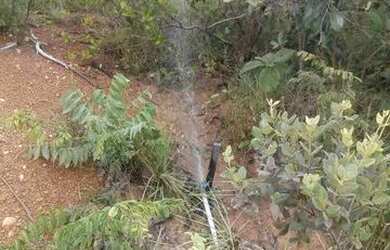 Imagem 2: Terreno perto do Rio São Francisco