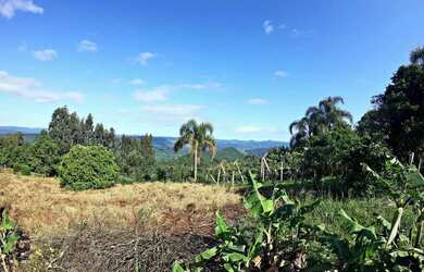 Imagem 4: Sitio - Bairro Linha Caraha