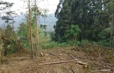 Imagem 9: Área - Bairro Linha São Paulo