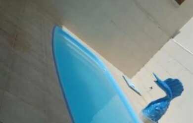 Imagem 3: Alugamos por diária casa com piscina em Porto de Galinhascasa