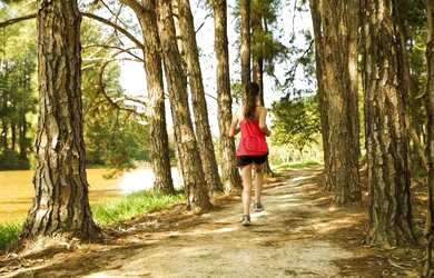 Imagem 15: Terreno à venda com 2160000 m² no Terras De São José II, Itu