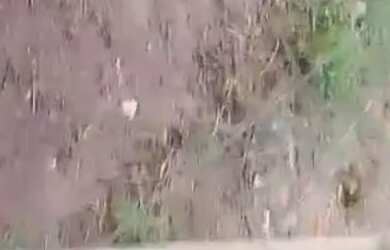 Imagem: O terreno possui 30m² de Área e está localizado em Maracanã