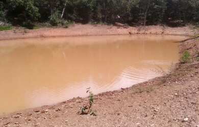 Imagem 7: Excelente Fazenda de 1.500 Hectares em Montes Claros Minas Gerais