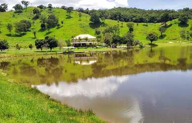 Imagem 14: Fazenda de 57 alqueires. 1m² de Área