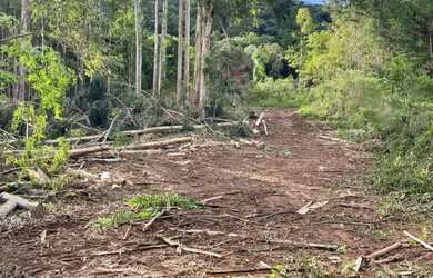Imagem 14: Área - Bairro Linha São Paulo