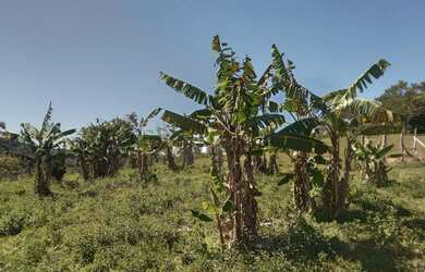 Imagem 13: 9,5 hectares sendo 7 hectares e. Pasto casa pitoresca