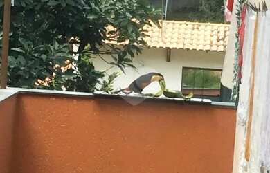 Imagem 5: Sobrado com 6 quartos à venda em Horto Florestal - SP