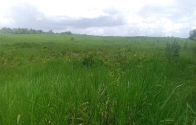 Imagem: A fazenda possui 27.000m² de Área e está localizado em Castanhal