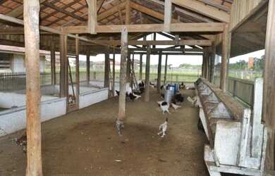 Imagem 15: Vendo Casa no Condomínio Fazenda Real Residence em Santa Isabel