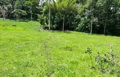 Imagem 9: TB- Vendo terreno para você e sua família