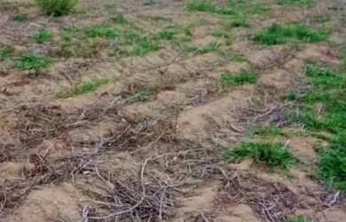 Imagem 4: 03a-NI1I20. 500m² de Área