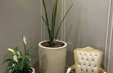 Imagem 7: Apartamento com 2 dormitórios, 75 m² - venda por R$ 1.000.000,00 ou...