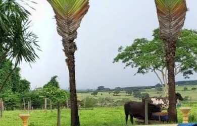 Imagem: A chácara possui 20.000m² de Área e está localizado em