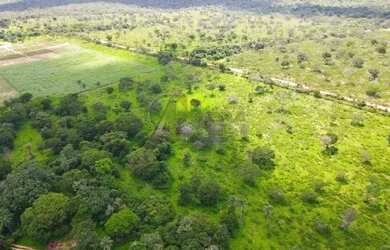 Imagem: A fazenda possui 825m² de Área e está localizado em Centro