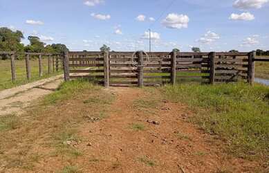 Imagem 5: Fazenda toda estruturada para pecuária, 7.821,44 hectares /1.616 Alqueires...