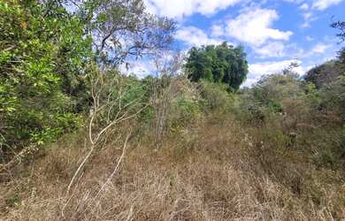 Imagem 8: Terreno de 13,7 hectares a 500 m de estrada de terra