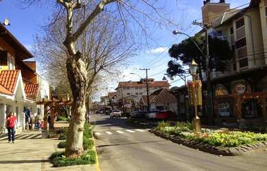 Imagem 7: Terreno - Bairro Parque das Hortênsias