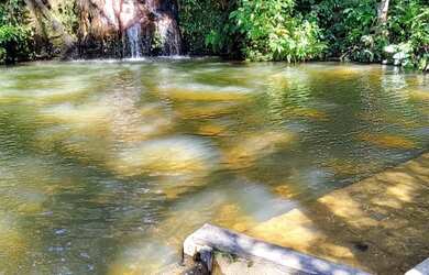 Imagem 4: Fazenda de 57 alqueires. 1m² de Área