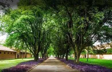 Imagem 4: Terreno á venda no Residencial Haras Patente, Jaguariúna