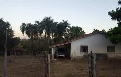 Imagem 7: Fazenda Samambaia Aurilandia Goias Remo-Recanto Monte das Oliveiras Park...