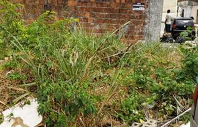 Imagem 3: Siqueira Jatoba. 175m² de Área