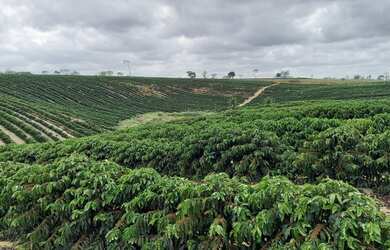 Imagem 6: Sítio com 37,5 hectares, Região de Fazenda Veloso - Ecoporanga ES