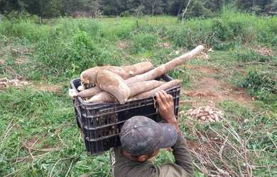 Imagem: A fazenda está localizado em São Gonçalo do Gurguéia, PI