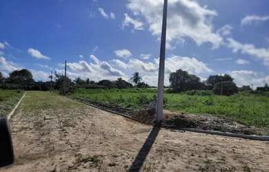 Imagem 8: Loteamento Vivencie Camara Perto Do Restaurante Benjamim Pronto Para Construir...