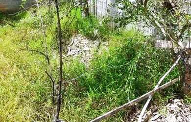 Imagem: O terreno possui 204m² de Área e está localizado em Itaipava