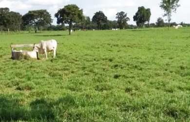 Imagem: A fazenda possui 3.700.000m² de Área e está localizado em