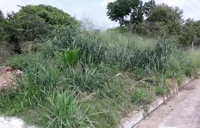 Imagem 6: Terreno Loteamento Novo Progresso 1º fase (após a Facimab) R$ 50.000