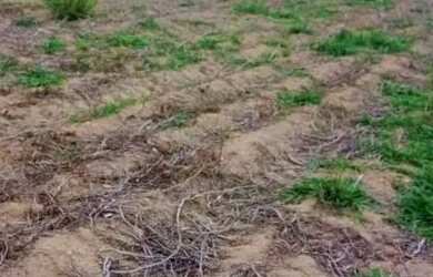 Imagem 12: 03a-1E2MDU0 Terreno / lote com venda por R$90.000