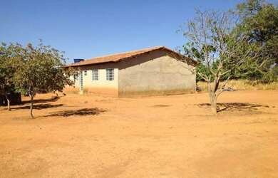Imagem 9: OPORTUNIDADE ÚNICA Fazendinha de 38 hectares as margens da BR a 12 km...