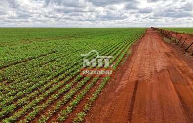 Imagem: A fazenda possui 500m² de Área e está localizado em Acreúna