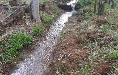 Imagem 3: Fazenda 1.5 alqueires. 7.800m² de Área