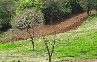 Imagem 2: Chácara de 21 mil metros por apenas 15 reais o metro