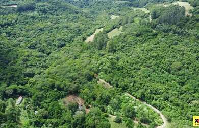 Imagem 8: Sítio / Chácara para Venda em Nova Petrópolis, Feliz lembrança, 2...
