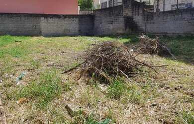 Imagem 5: Lote/Terreno para venda tem 351 metros quadrados em Barreiros - São José...