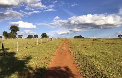 Imagem: A fazenda está localizado em Setor Central, Goiânia à venda