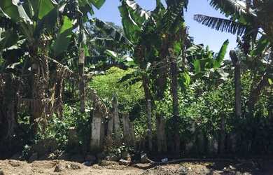 Imagem: O terreno possui 433m² de Área e está localizado em Nereu