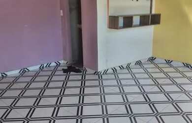 Imagem 4: Vendo está casa. 2 Vagas na garageme1 Dormitório